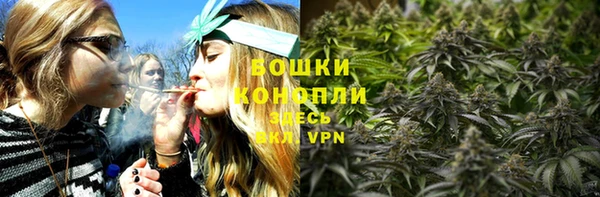альфа пвп Медногорск