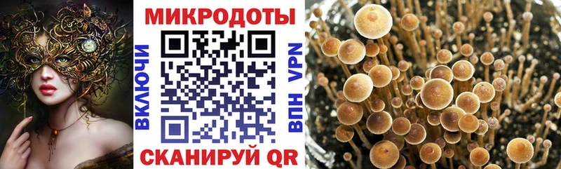 Галлюциногенные грибы мицелий Талдом