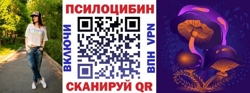 Купить где  Талдом  Галлюциногенные грибы Magic Shrooms 